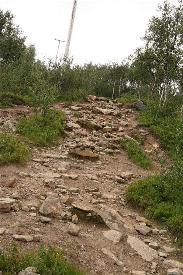 Stenigt n�ra Storulv�n