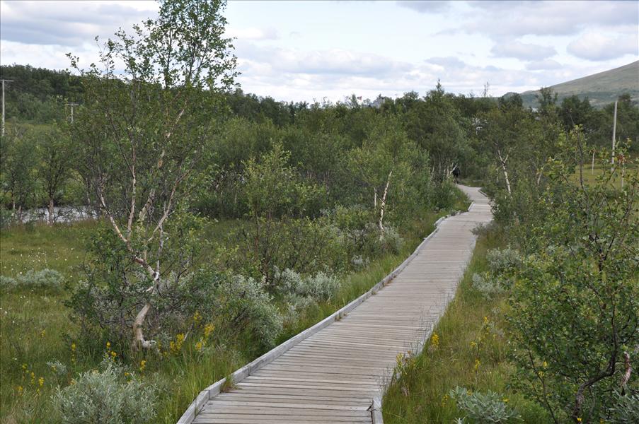 Inte s� stenigt