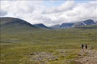 Sylarna