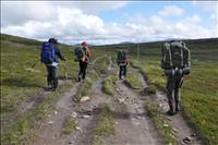 5-filigt mot Storulv�n