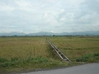 DSC 7340
