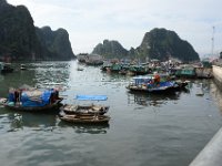 DSC 7542