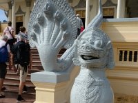 DSC 8478