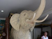 DSC 8504
